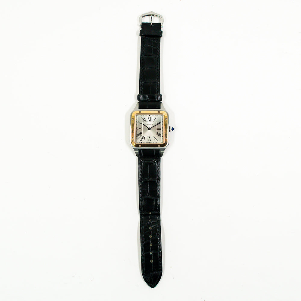 Cartier W2SA0011 (2021)