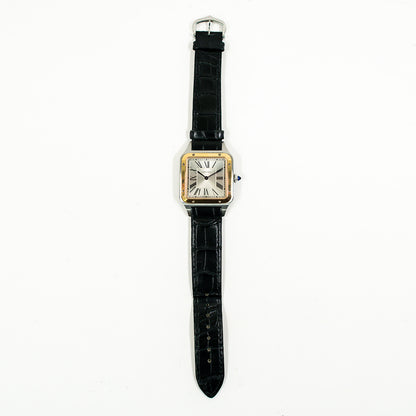 Cartier W2SA0011 (2021)