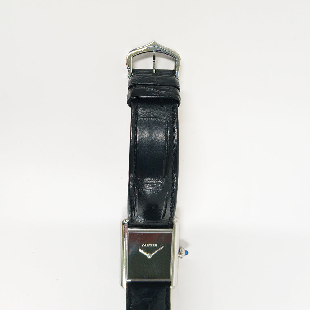 Cartier WSTA0072 (2014)