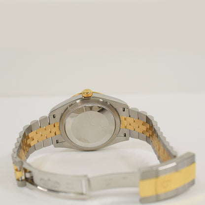 Rolex Sky-Dweller Champagne Dial 336933 (2025)