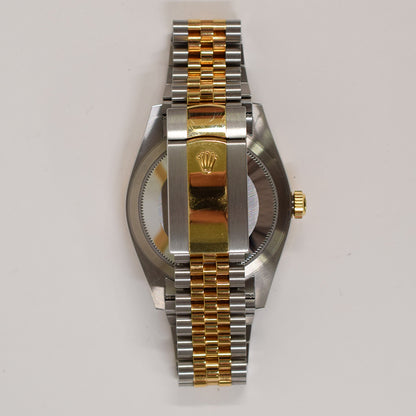 Rolex Sky-Dweller Champagne Dial 336933 (2025)
