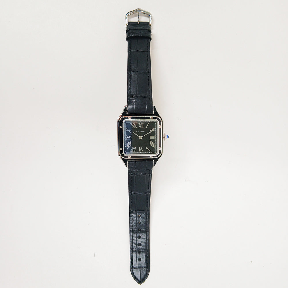 Cartier WSSA0046 (2025)