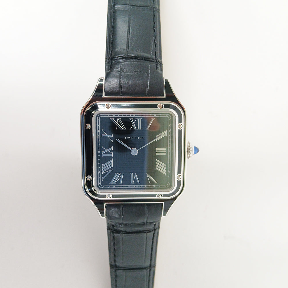 Cartier WSSA0046 (2025)