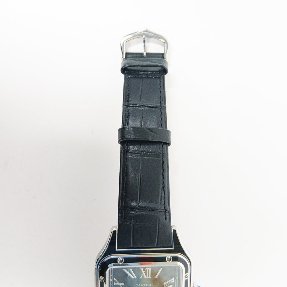 Cartier WSSA0046 (2025)