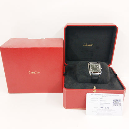 Cartier WSSA0046 (2025)