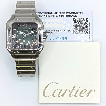 Cartier WSSA0062 (2024)