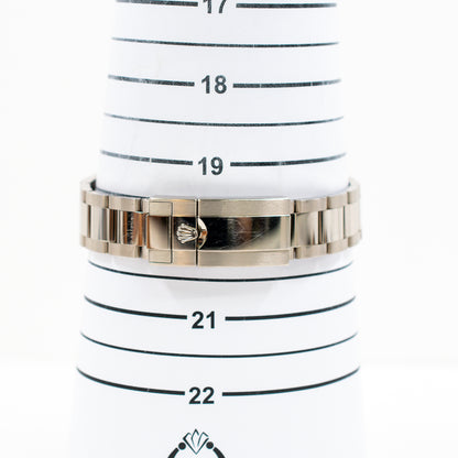 Rolex Daytona Steel Dial 116509 (2023)