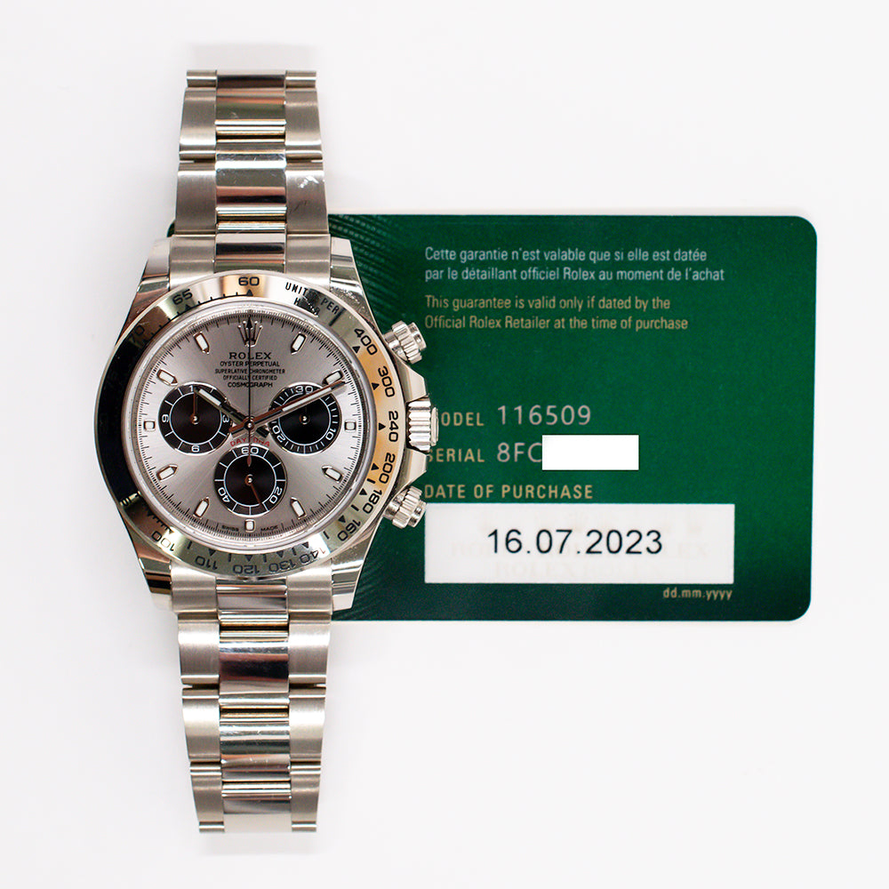 Rolex Daytona Steel Dial 116509 (2023)
