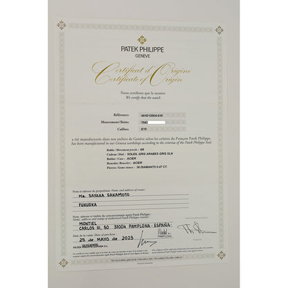 Patek Philippe 4910/1200A-010 (2023)