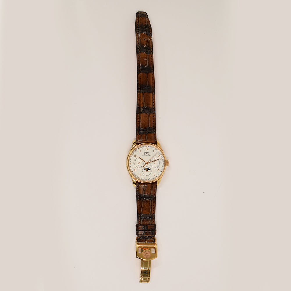 IWC Schaffhausen IW344202 (2022)