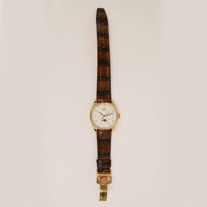 IWC Schaffhausen IW344202 (2022)