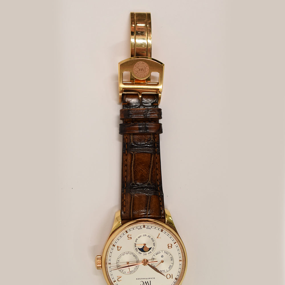 IWC Schaffhausen IW344202 (2022)