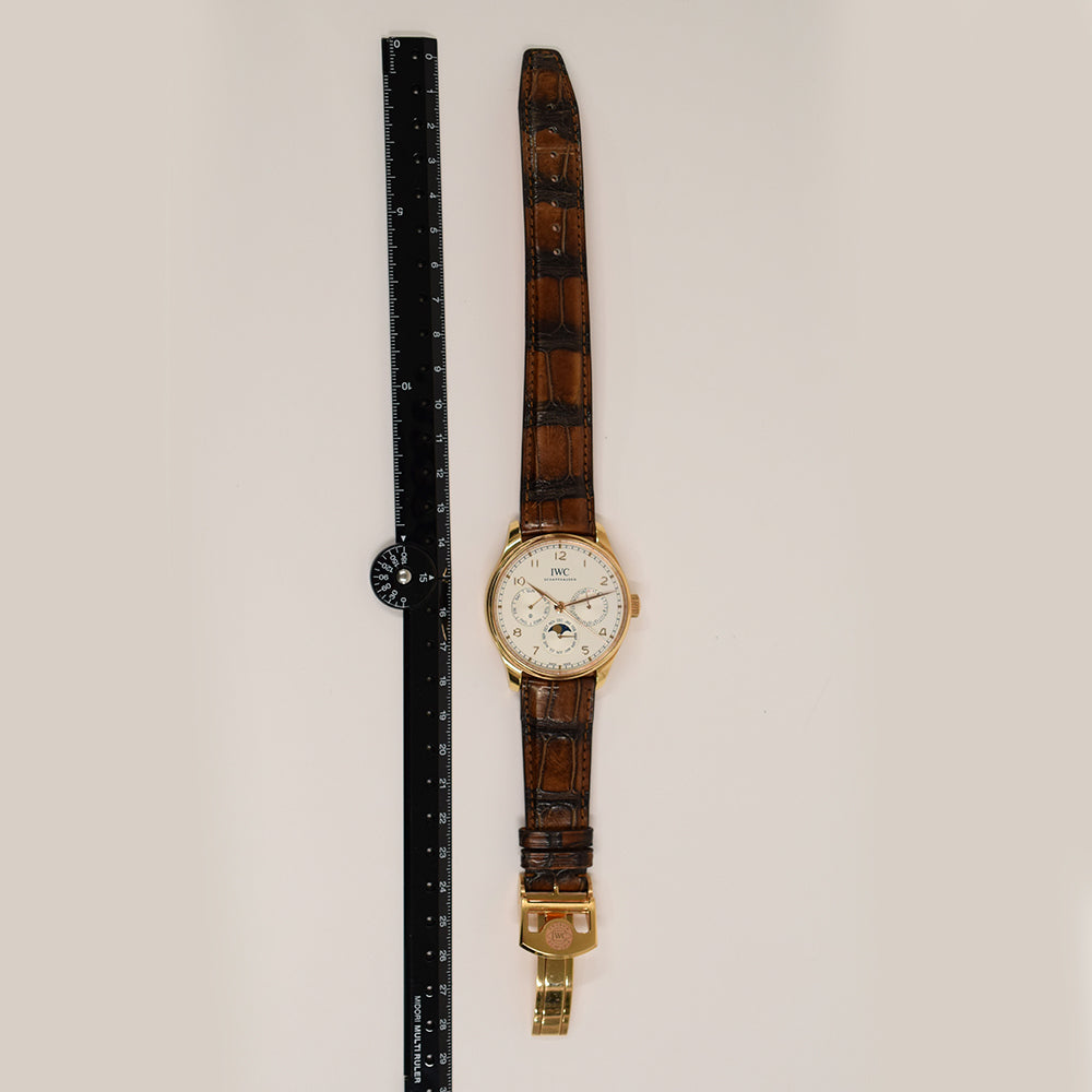 IWC Schaffhausen IW344202 (2022)