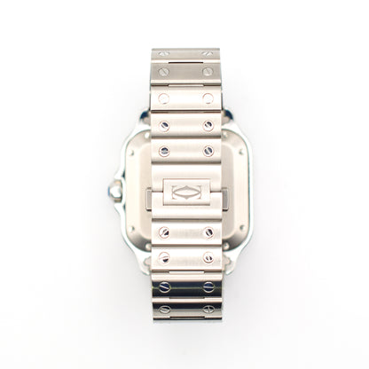 Cartier WSSA0061 (2025)