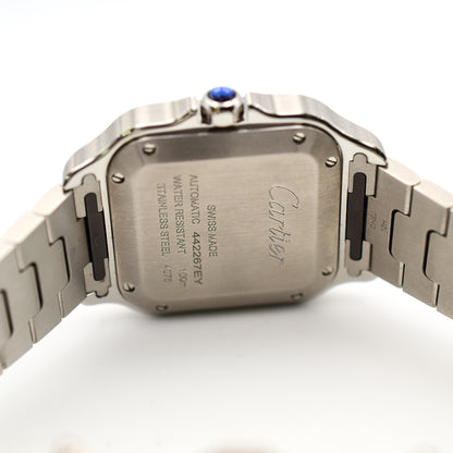 Cartier WSSA0061 (2025)