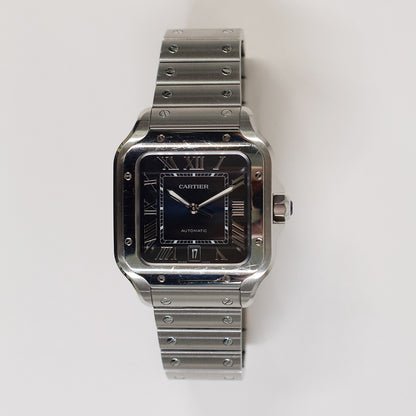 Cartier WSSA0030 (2022)